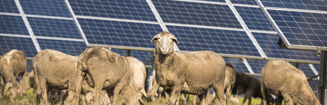 Informatieavond zonnepanelen