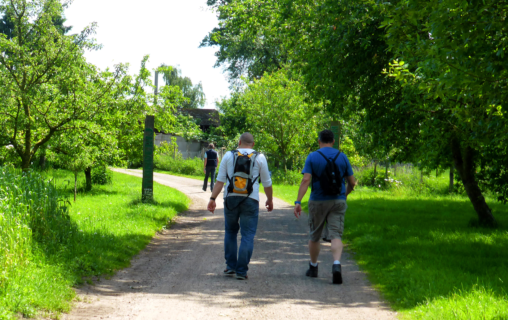 Coronaproof activiteiten van De Kuip