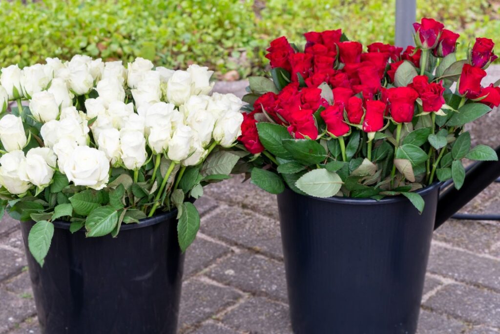 Herdenking Colmschate Bevrijd 8 april 2024 (49)